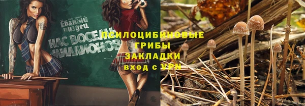 прущая мука Пересвет