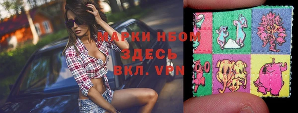 гашик Пестово