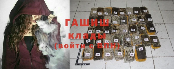 гашик Пестово