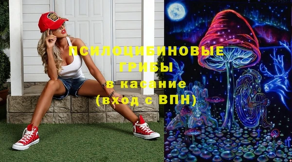 ешки Переславль-Залесский
