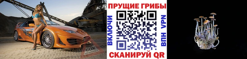 Псилоцибиновые грибы GOLDEN TEACHER  Сегежа 