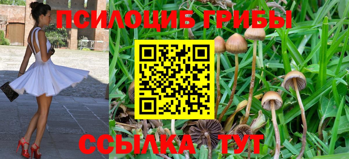 Галлюциногенные грибы MAGIC MUSHROOMS Сегежа